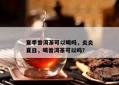 夏季普洱茶可以喝吗，炎炎夏日，喝普洱茶可以吗？