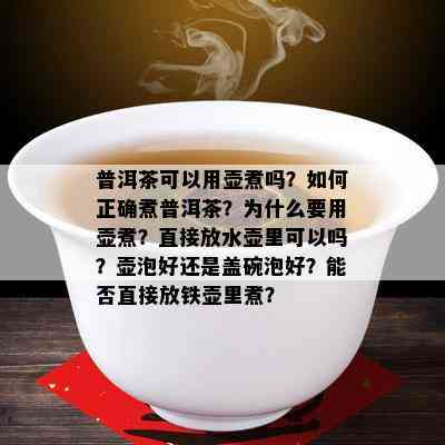 普洱茶可以用壶煮吗？如何正确煮普洱茶？为什么要用壶煮？直接放水壶里可以吗？壶泡好还是盖碗泡好？能否直接放铁壶里煮？