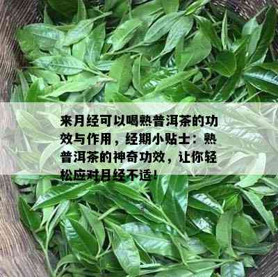 来月经可以喝熟普洱茶的功效与作用，经期小贴士：熟普洱茶的神奇功效，让你轻松应对月经不适！