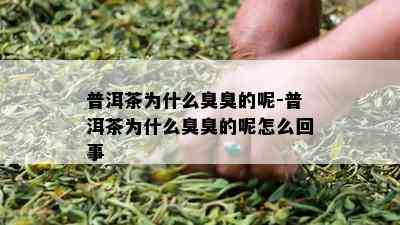 普洱茶为什么臭臭的呢-普洱茶为什么臭臭的呢怎么回事