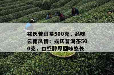 戎氏普洱茶500克，品味云南风情：戎氏普洱茶500克，口感醇厚回味悠长