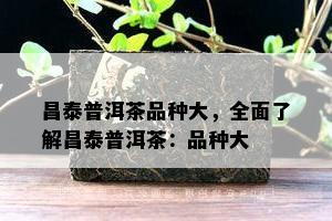 昌泰普洱茶品种大，全面了解昌泰普洱茶：品种大