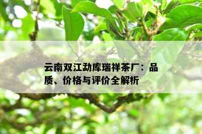 云南双江勐库瑞祥茶厂：品质、价格与评价全解析