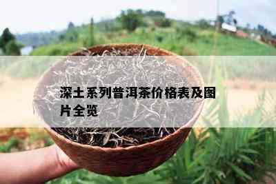 深土系列普洱茶价格表及图片全览