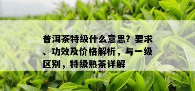 普洱茶特级什么意思？要求、功效及价格解析，与一级区别，特级熟茶详解