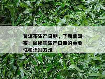 普洱茶生产日期，了解普洱茶：揭秘其生产日期的重要性和识别方法