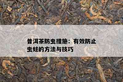 普洱茶防虫措施：有效防止虫蛀的方法与技巧