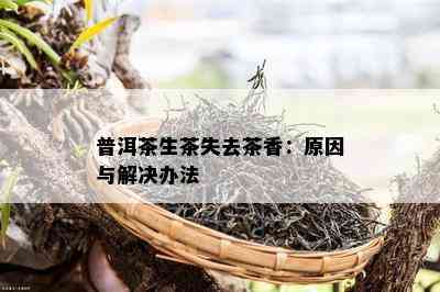 普洱茶生茶失去茶香：原因与解决办法