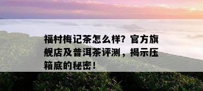 福村梅记茶怎么样？官方旗舰店及普洱茶评测，揭示压箱底的秘密！