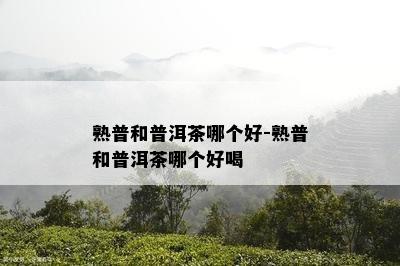 熟普和普洱茶哪个好-熟普和普洱茶哪个好喝