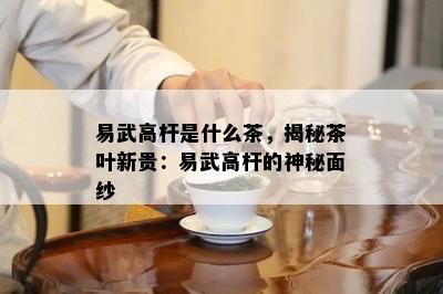 易武高杆是什么茶，揭秘茶叶新贵：易武高杆的神秘面纱