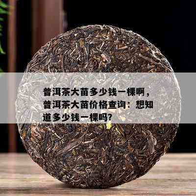 普洱茶大苗多少钱一棵啊，普洱茶大苗价格查询：想知道多少钱一棵吗？