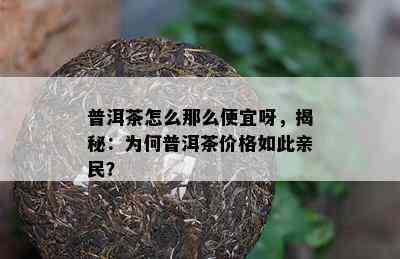 普洱茶怎么那么便宜呀，揭秘：为何普洱茶价格如此亲民？