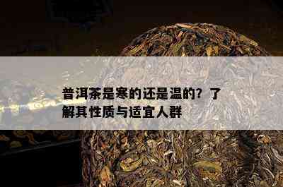 普洱茶是寒的还是温的？了解其性质与适宜人群