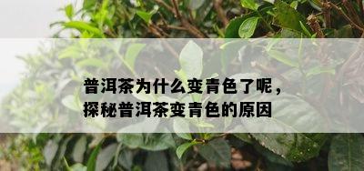 普洱茶为什么变青色了呢，探秘普洱茶变青色的原因