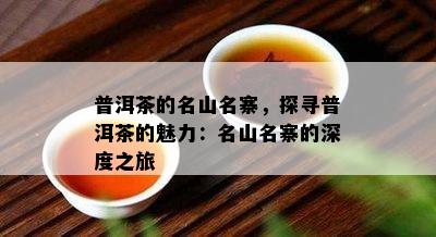 普洱茶的名山名寨，探寻普洱茶的魅力：名山名寨的深度之旅