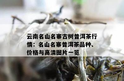 云南名山名寨古树普洱茶行情：名山名寨普洱茶品种、价格与高清图片一览