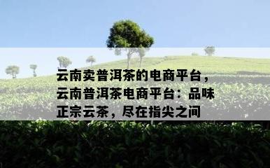 云南卖普洱茶的电商平台，云南普洱茶电商平台：品味正宗云茶，尽在指尖之间