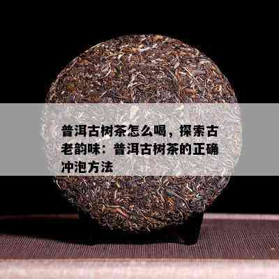 普洱古树茶怎么喝，探索古老韵味：普洱古树茶的正确冲泡方法