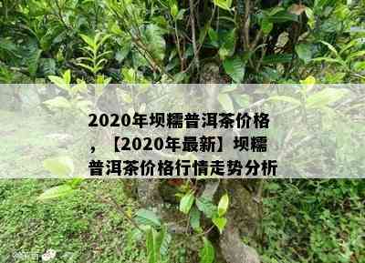 2020年坝糯普洱茶价格，【2020年最新】坝糯普洱茶价格行情走势分析