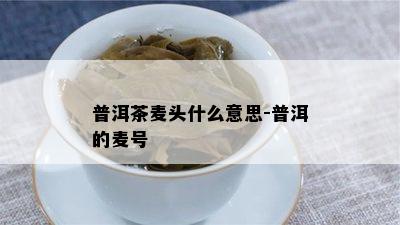 普洱茶麦头什么意思-普洱的麦号