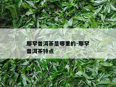 那罕普洱茶是哪里的-那罕普洱茶特点