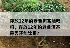 存放12年的老普洱茶能喝吗，存放12年的老普洱茶是否还能饮用？