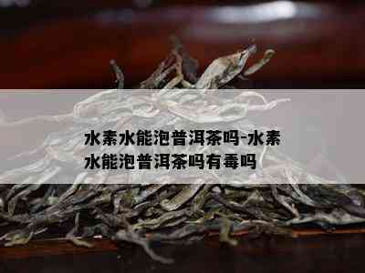 水素水能泡普洱茶吗-水素水能泡普洱茶吗有吗