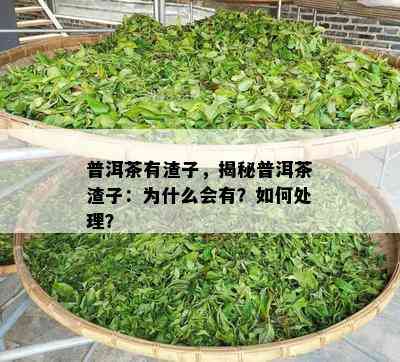 普洱茶有渣子，揭秘普洱茶渣子：为什么会有？如何处理？