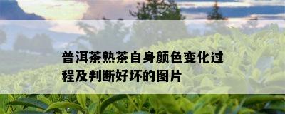 普洱茶熟茶自身颜色变化过程及判断好坏的图片