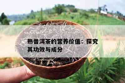 熟普洱茶的营养价值：探究其功效与成分