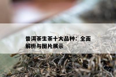 普洱茶生茶十大品种：全面解析与图片展示