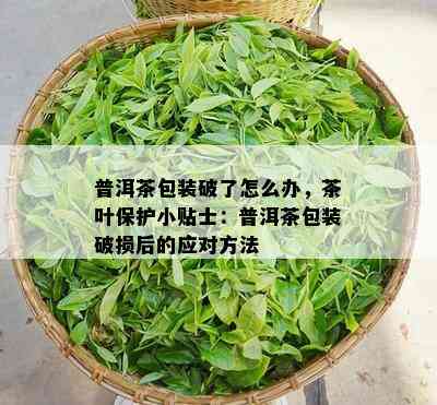 普洱茶包装破了怎么办，茶叶保护小贴士：普洱茶包装破损后的应对方法