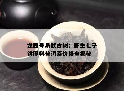 龙园号易武古树：野生七子饼厚料普洱茶价格全揭秘