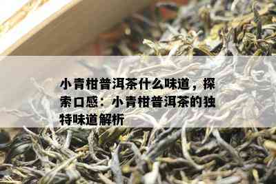 小青柑普洱茶什么味道，探索口感：小青柑普洱茶的独特味道解析