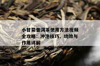 小甘菊普洱茶使用方法视频全攻略：冲泡技巧、功效与作用详解