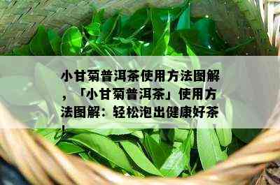 小甘菊普洱茶使用方法图解，「小甘菊普洱茶」使用方法图解：轻松泡出健康好茶！