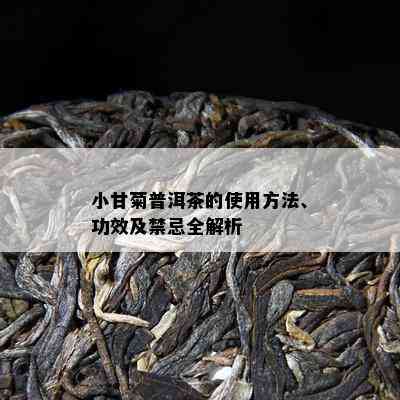 小甘菊普洱茶的使用方法、功效及禁忌全解析