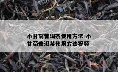 小甘菊普洱茶使用方法-小甘菊普洱茶使用方法视频