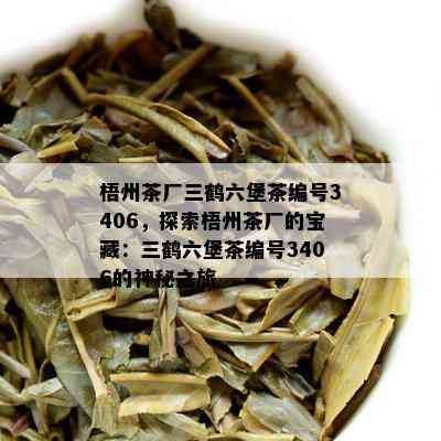 梧州茶厂三鹤六堡茶编号3406，探索梧州茶厂的宝藏：三鹤六堡茶编号3406的神秘之旅