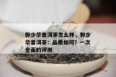 郭少华普洱茶怎么样，郭少华普洱茶：品质如何？一次全面的评测