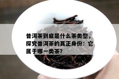 普洱茶到底是什么茶类型，探究普洱茶的真正身份：它属于哪一类茶？