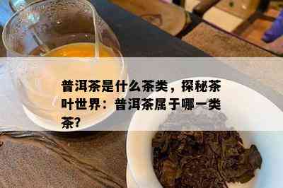 普洱茶是什么茶类，探秘茶叶世界：普洱茶属于哪一类茶？