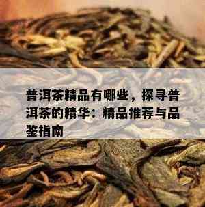 普洱茶精品有哪些，探寻普洱茶的精华：精品推荐与品鉴指南