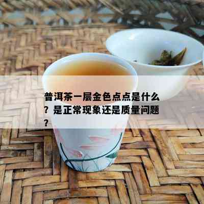 普洱茶一层金色点点是什么？是正常现象还是质量问题？