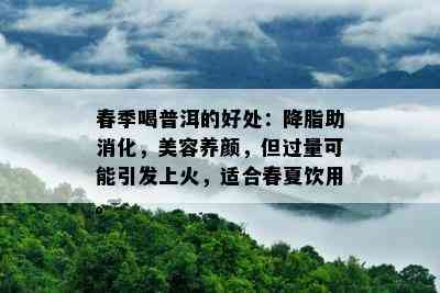 春季喝普洱的好处：降脂助消化，美容养颜，但过量可能引发上火，适合春夏饮用。