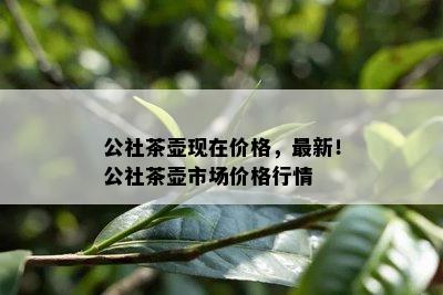 公社茶壶现在价格，最新！公社茶壶市场价格行情