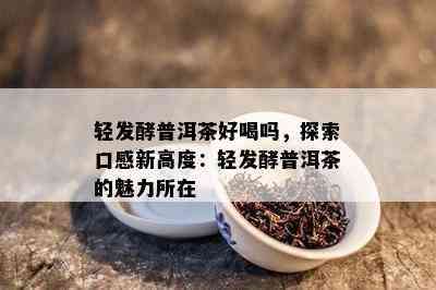 轻发酵普洱茶好喝吗，探索口感新高度：轻发酵普洱茶的魅力所在