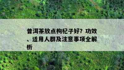 普洱茶放点枸杞子好？功效、适用人群及注意事项全解析