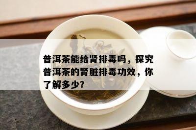 普洱茶能给肾排吗，探究普洱茶的肾脏排功效，你了解多少？